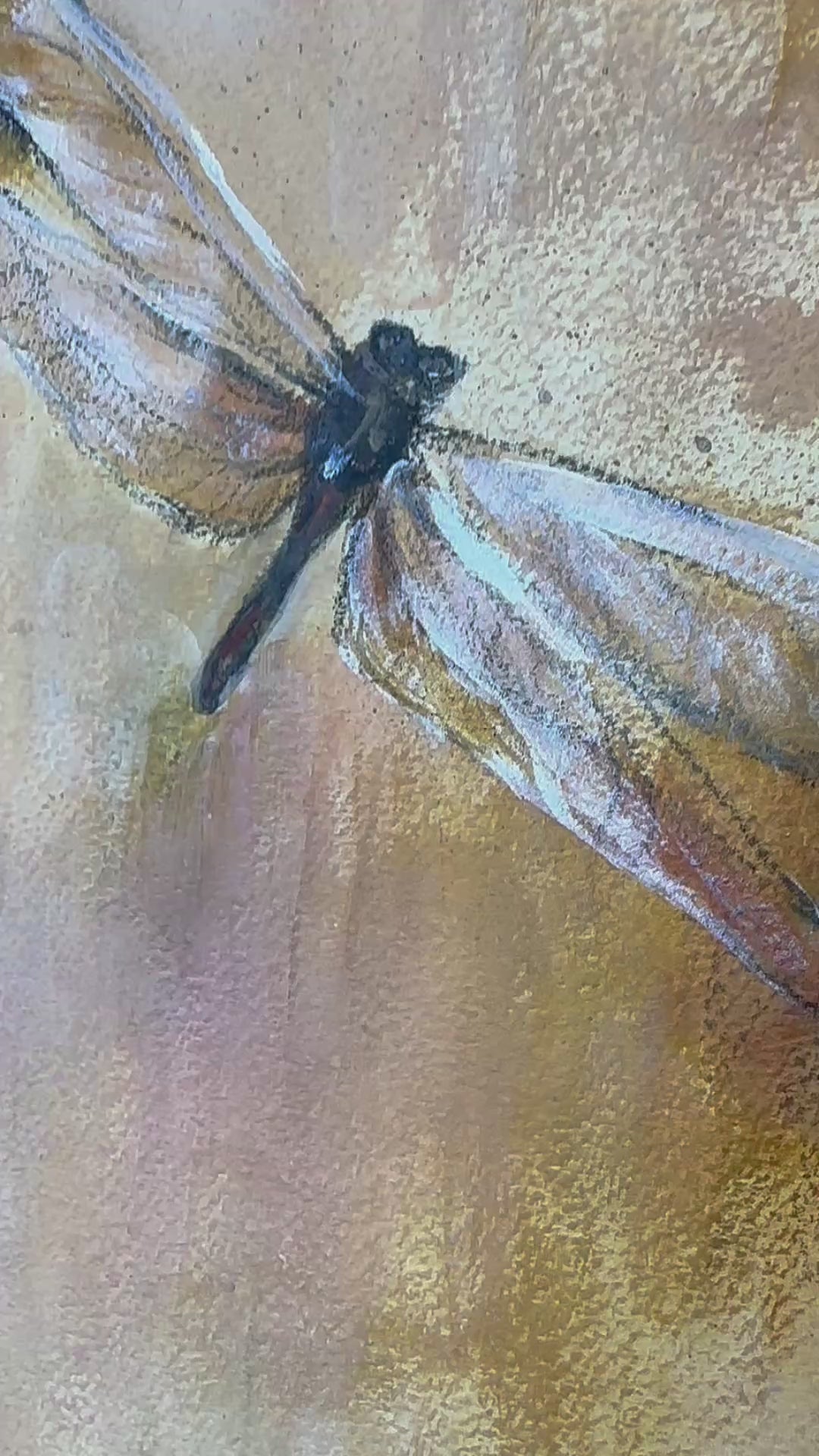 Dragonflies - Messengers