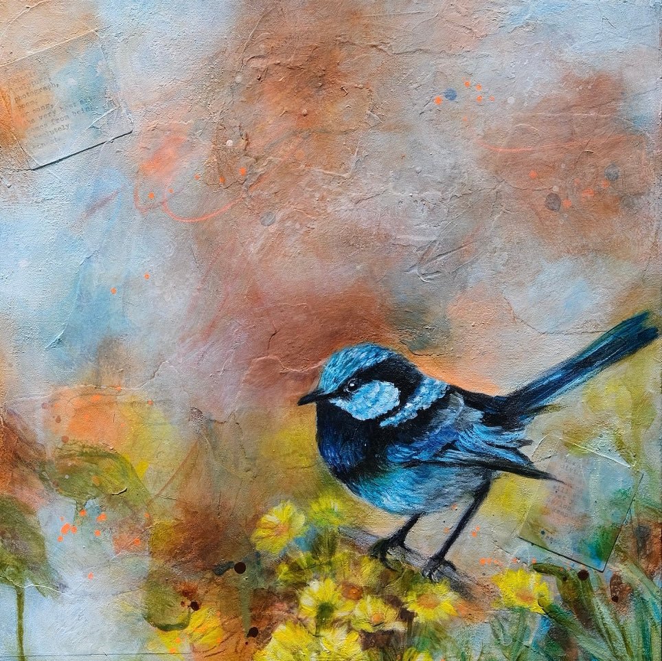 Fairy Wren - Shazzy Campbell Art